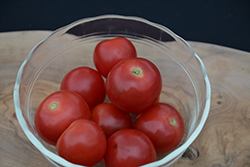 Husky Red Cherry Tomato (Solanum lycopersicum 'Husky Red Cherry') at Wiethop Greenhouses