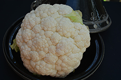 Snow Crown Cauliflower (Brassica oleracea var. botrytis 'Snow Crown') at Wiethop Greenhouses