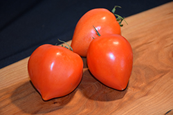 Oxheart Tomato (Solanum lycopersicum 'Oxheart') at Wiethop Greenhouses